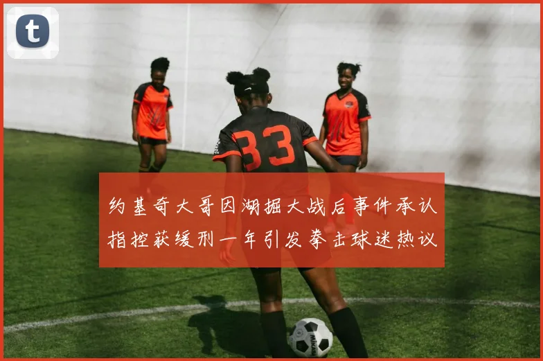 约基奇大哥因湖掘大战后事件承认指控获缓刑一年引发拳击球迷热议