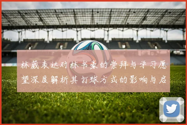 林葳表达对林书豪的崇拜与学习愿望深度解析其打球方式的影响与启发